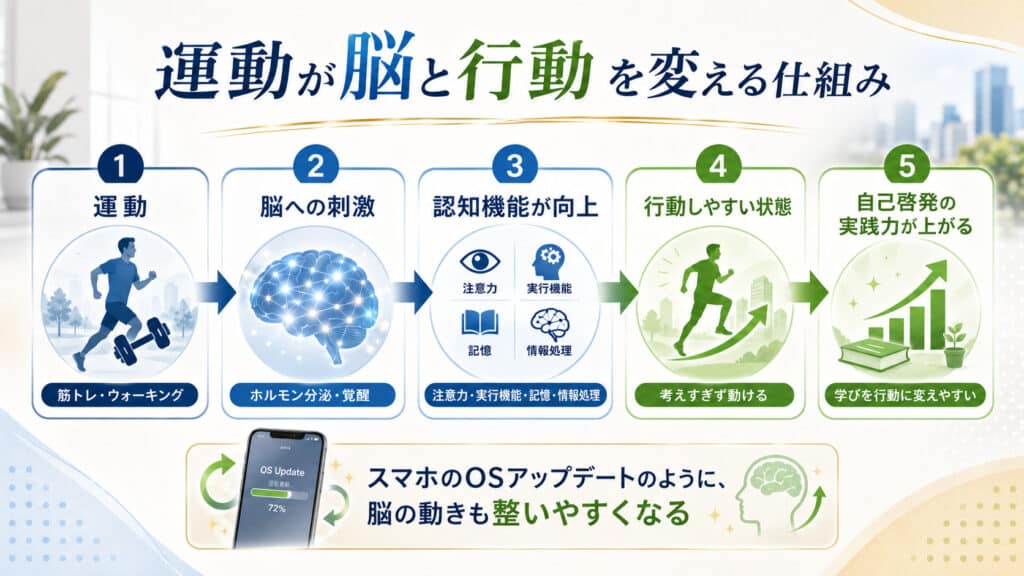 運動による脳への刺激から認知機能と自己啓発の実践力が高まる仕組みの図解
