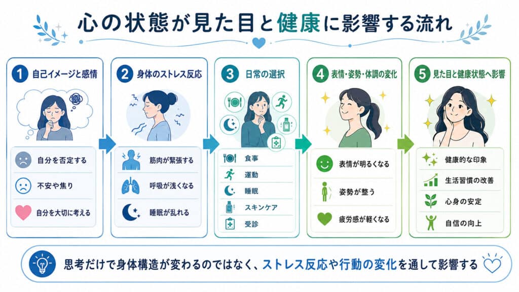 自己イメージと感情がストレス反応や日常の選択を通して見た目と健康へ影響する流れ